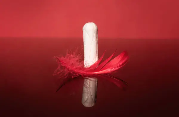 Frauengesundheit Medizinischer Tampon Menstruationszyklus Perioden Und Eisprung — Stockfoto