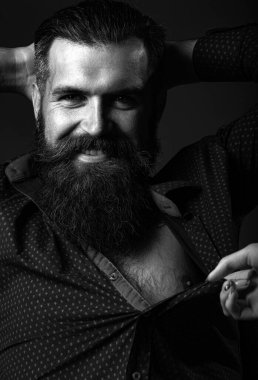 Sakallı maço adam. Yakışıklı erkek sakallı. Parfüm konsepti