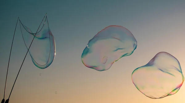 Burbujas Jabón Voladoras Sobre Fondo Azul Cielo Atardecer Grandes Burbujas — Foto de Stock