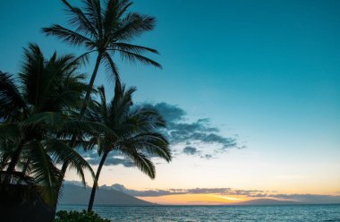 Kum, okyanus, palmiye yaprakları, palmiye ağaçları ve mavi gökyüzü olan tropik deniz plajı. Yaz sahili geçmişi