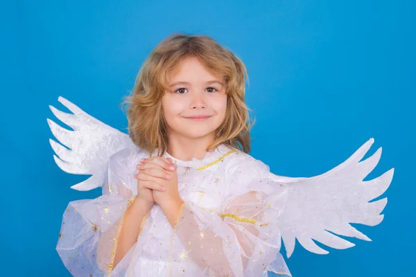 漂亮的小天使孤立的工作室拍摄 可爱的孩子 有天使般的翅膀 有祈祷的手 希望和祈祷的概念 丘比特 情人节的概念 — 图库照片