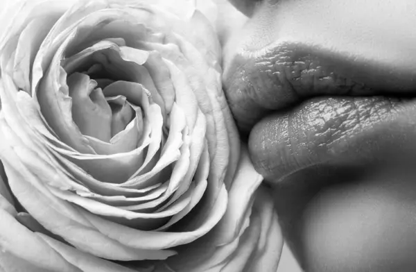 Perfekta Läppar Sexy Girl Mouth Nära Håll Skönhet Ung Kvinna — Stockfoto