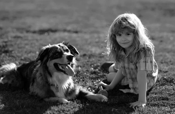 Blonde boy playing with dog on the lawn in the park. Cute dog. His pet attentively looks at the owner. The doggy. Best friends child and puppy dog rest and have fun on vacation