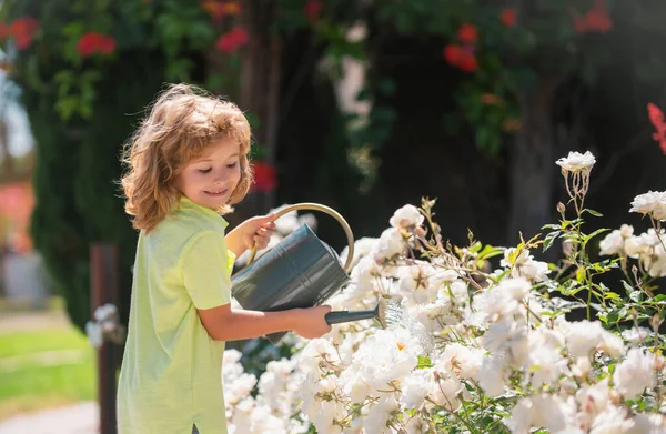 Infância Crianças Americanas Criança Regando Flores Jardim Casa Jardinagem — Fotografia de Stock