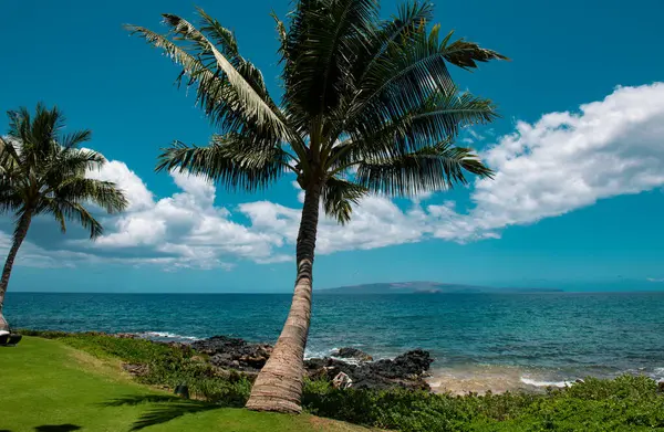 Fundo Praia Havaiana Desfrutando Paraíso Havaí Panorama Paisagem Tropical Cenário — Fotografia de Stock
