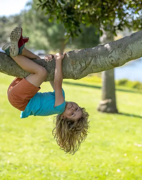 Kind Klettert Freien Auf Einen Ast — Stockfoto