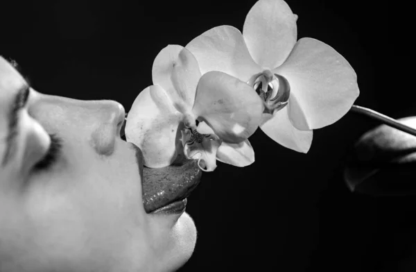 Sexy Frau Lecken Blume Orchidee Und Frauenlippen Orchideenblume Auf Sinnlichem — Stockfoto