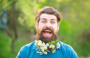 Çiçekli sakal. Sakallı bir adamın komik portresi bahar çiçekli arka planda kameraya bakıyor.