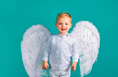 Çocuk melek. Mavi arka planda beyaz tüylü melek kanatları olan tatlı erkek bebek. Sevgililer Günü Aşk Tanrısı çocuğu