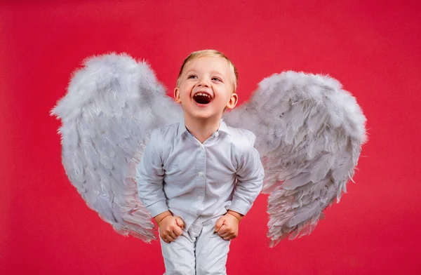 天使般的孩子 长着白翼笑着 兴奋的天使般的孩子们都在笑 可爱兴奋的孩子与白色的翅膀 可爱的孩子丘比特在红色上被隔离 情人节贺卡 瓦伦丁 有趣的脸 — 图库照片