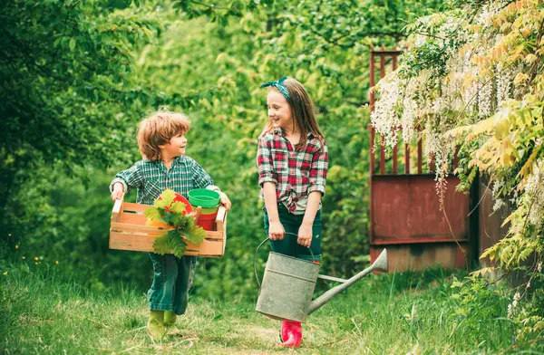 面白い子供の農家は箱と散水ができます ハッピーバレンタインデー — ストック写真