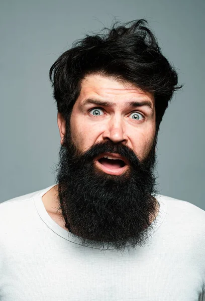 Şaşırmış yakışıklı adam. Şaşırmış erkek model, şaşırmış surat ifadesi, şaşırmış surat. Duygular insanlar konsepti. Gri arka planda poz veren sakallı hippi