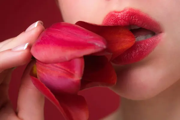 Foreplay blowjob. Sexy girl sucking and licking flower. Blowjob fellation concept. Oral sex. Girl blowjob. Blow job oral sex simulation. Blowjob and sensual oral lick. Sexy female mouth and flower