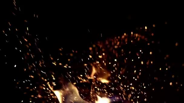 火災からの飛行機 熱い火の火花を燃やす 煙で黒い背景の上の火の粒子 キャンプ火災 — ストック動画