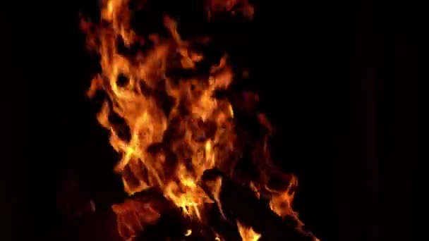 Пожежа Горить Каміні Палаюче Полум Блейз Вогонь Полум Чорному Палаюча — стокове відео