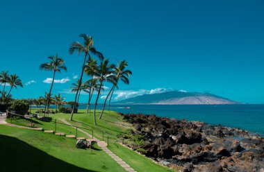 Summer vacation, holiday background of a tropical beach and blue sea. Hawaii beach. Coconut palm trees