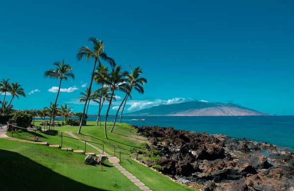 Summer vacation, holiday background of a tropical beach and blue sea. Hawaii beach. Coconut palm trees