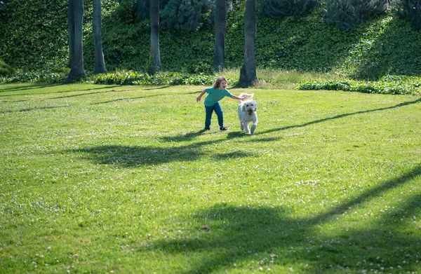 Child Running Dog Kid Puppy Dog Outdoor Playing Backyard Lawn — Foto de Stock