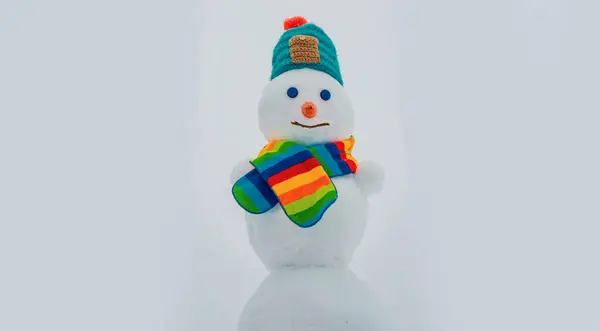 在阳光灿烂的冬日里 雪人笑得很开心 冬季服装 针织帽子和围巾 — 图库照片