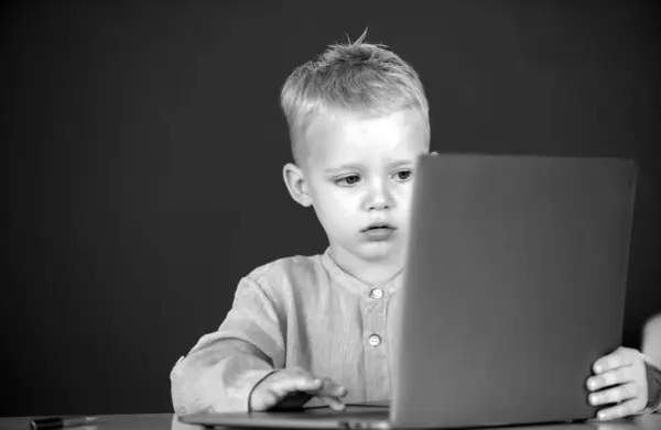 Bilgisayar Sınıfında Çalışan Ilkokul Çocuğu Tahta Arka Planda Sevimli Bir — Stok fotoğraf
