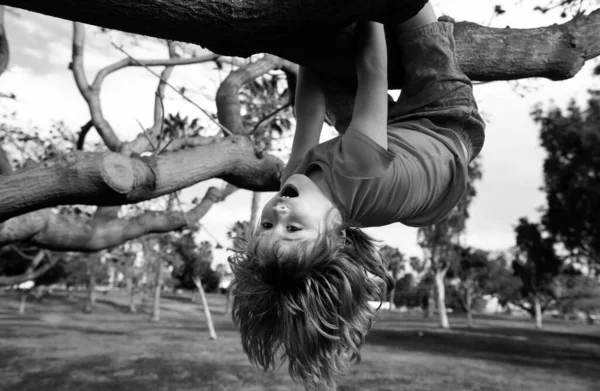 Cute Blonde Child Boy Hangs Tree Branch Summer Holidays Little — Stock Photo, Image