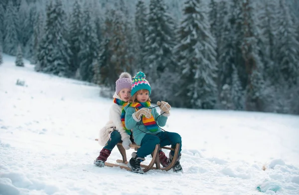 Boy Girl Sledding Snowy Forest Outdoor Winter Kids Fun Christmas — Stock Photo, Image