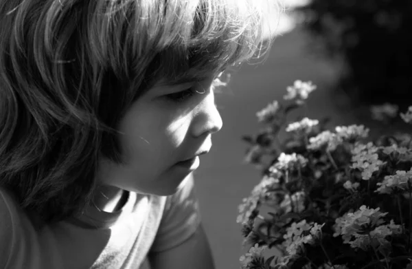 Kids flower allergy. Little boy smelling flower outdoor. Kid sniffing flowers. Spring park