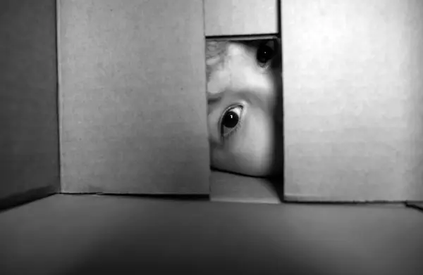 Excited child boy looking into the box, shipping cardboard box. Closeup eyes looking
