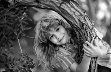 Küçük şirin çocuk yaz günü ağaca tırmanmaktan zevk alıyor. Çocuk ağaçta uzanmış, büyük bir dala sarılıyor.