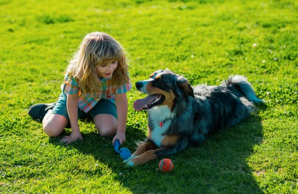 Happy Child Playing Dog Green Grass Field Funny Dog — Stockfoto