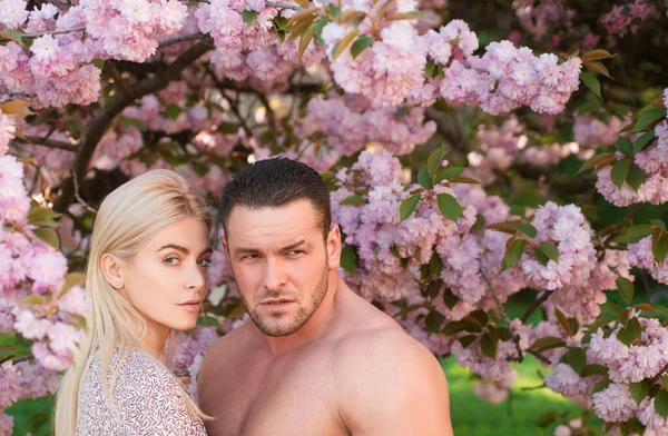 Junges Paar Auf Dem Hintergrund Der Frühlingsblüte Liebhaber Mit Romantischen — Stockfoto
