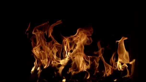 Vuurvlam Textuur Het Vuur Brandende Vlam Groot Brandend Vuur Blaas — Stockvideo
