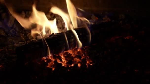 燃える炎の質 火を燃やして 炎を燃やす 大きな炎が燃えている ブレイズ バーンがオーバーレイを燃やした ストーブ ファイアボックス 暖炉のための石炭木を熱する 炎が燃える — ストック動画