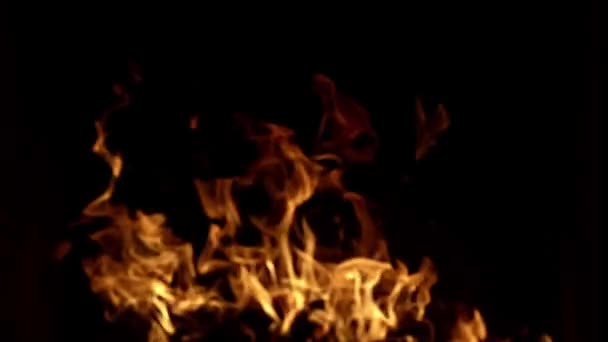 火上的黑色为覆盖设计 火焰燃烧孤立 抽象质感 抽象的火焰火焰纹理为横幅背景 红色和黄色 燃烧的灯 — 图库视频影像