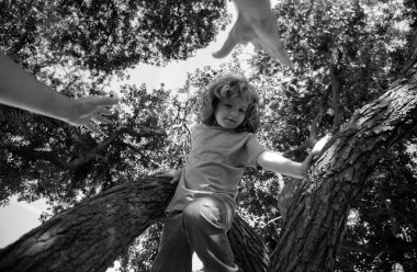 Babaların eli. Baba oğul ağaç dallarına tırmanıyor.