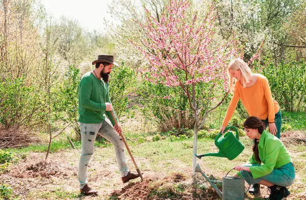 春の晴れた日に庭の女の子の散水植物 庭のツールと春の庭で若者の仕事のグループ 友人は植物を育てます 男は木を植え シャベルで手は地面を掘る — ストック写真