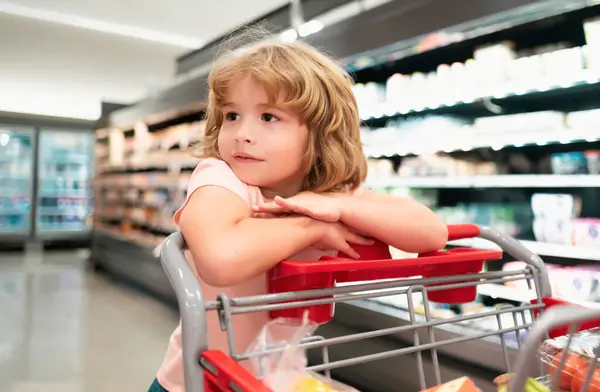 Kid with shopping basket purchasing food in a grocery store. Customers child buying products at supermarket