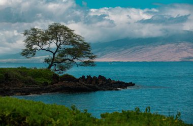 Peyzaj sükunet plajı. Hawaii arka planı, tropik Hawaii cenneti