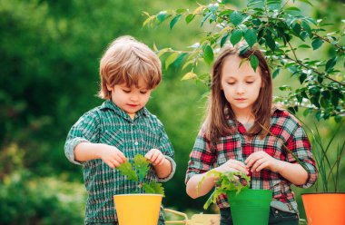 Oğlu ve kızı toprağa ekiyorlar. Çiftlikte birlikte vakit geçirmeyi seviyoruz. Saksıya çiçek ekiyorum.