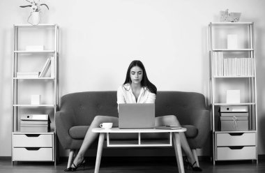 Seksi bacaklı baştan çıkarıcı sekreter ofiste kanepede oturur. Seksi iş kadını ya da dizüstü bilgisayarlı sekreter beyaz takım elbiseli ve dekolte koltukta oturuyor. Şehvetli kız çalışan.