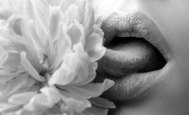 Seksi dolgun dudaklar. Dudak parlatıcısı ve kadın ağzı. Şehvetli dudaklar