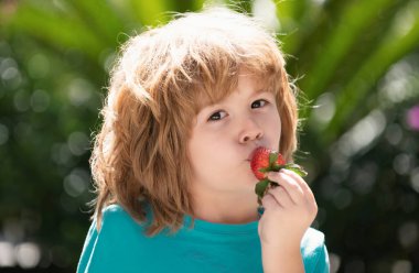 Doğada çilek yiyen küçük bir çocuk. Çocuk yeşil yaz geçmişinde lezzetli bir çileğin tadını çıkarıyor. Mutlu yüzlü çocukları kapatın.