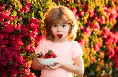Sevimli neşeli çocuk çilek yiyor. Okul çocuğu sağlıklı yiyecekler yiyor. Mutlu çocukluk kavramı. Küçük mutlu çocuk çilek topluyor ve yiyor. Çocuk portresi
