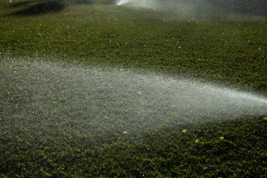 Çimleri suluyorum. Fıskiyeler çimenleri suluyor, bahçedeki yeşil çimenler. Otomatik sulama sistemi yeşil bir parkta çalışıyor, çimenleri suluyor. Bahçede sulama bahçesi var. Çim fıskiyesi