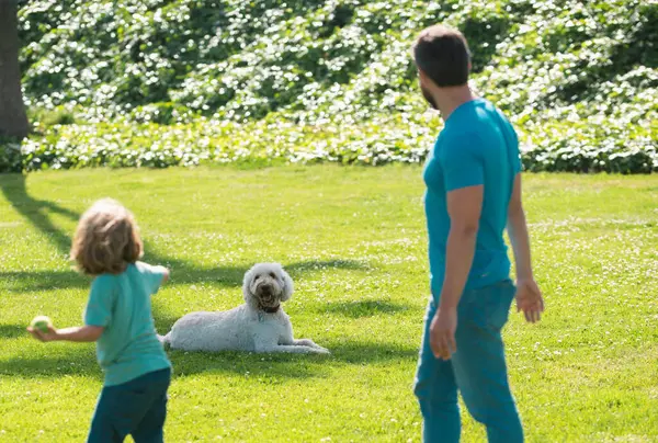 Bakåt Bild Familjen Med Hund Avkopplande Parken — Stockfoto