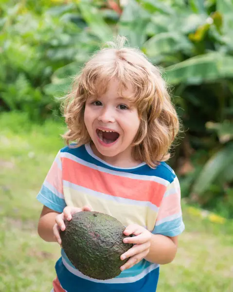 Niño Comiendo Disfrutando Aguacate Fondo Natural Comida Saludable Para Niños —  Fotos de Stock