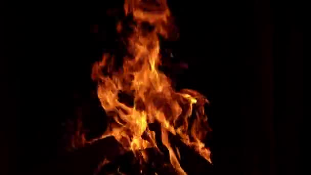 Φωτιά Στις Φλόγες Στο Μαύρο Φλόγα Φωτιάς Απομονωμένη Αφηρημένη Υφή — Αρχείο Βίντεο