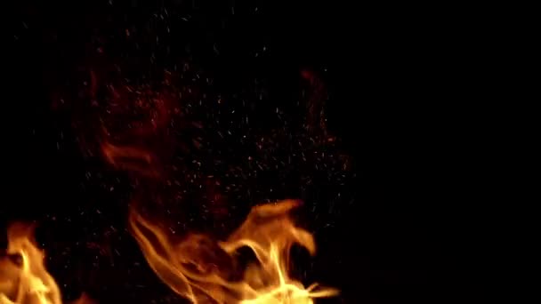 Fuoco Nel Camino Fuoco Fiamme Fiamma Fuoco Blaze Sul Nero — Video Stock