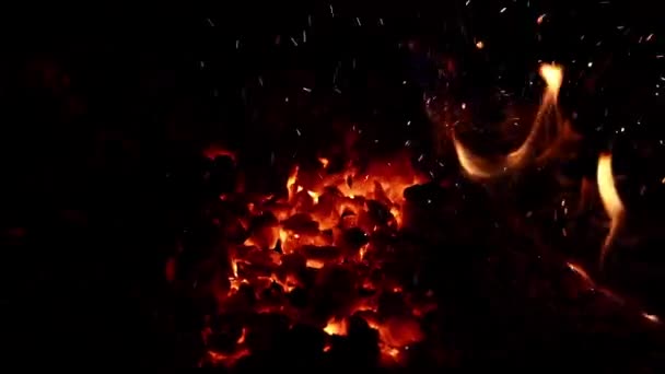 火がついてる 火を燃やして フラミンパターン スパークと炎 ブラックの炎 炎の光が暗闇を照らしている オーバーレイの背景に燃える炎 スパークスは激しい光景で飛ぶ — ストック動画