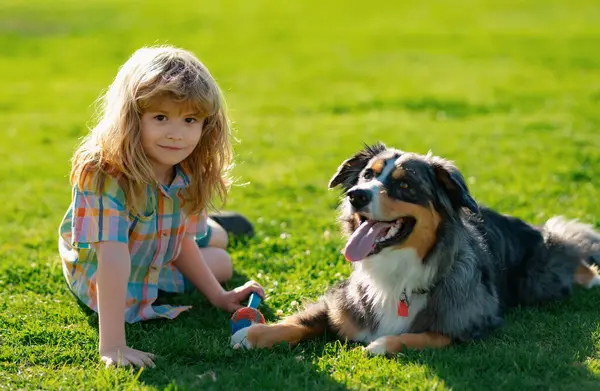 Blonde boy playing with dog on the lawn in the park. Cute dog. His pet attentively looks at the owner. The doggy. Best friends child and puppy dog rest and have fun on vacation